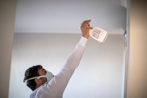 Best Certified Mold Removal  in Rose Hill, KS