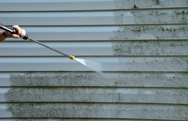 Professional Mold Removal in Rose Hill, KS