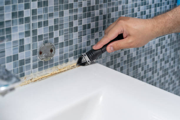 Best Affordable Mold Removal  in Rose Hill, KS