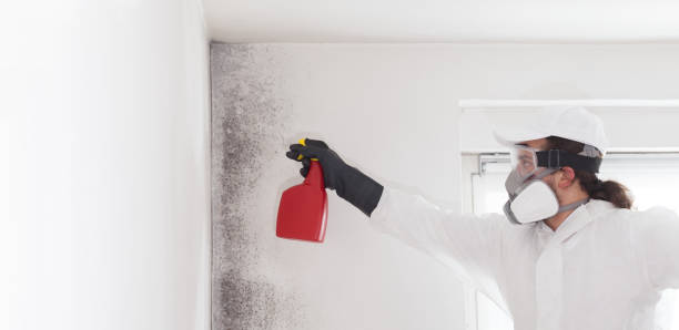 Best Crawl Space Mold Removal  in Rose Hill, KS