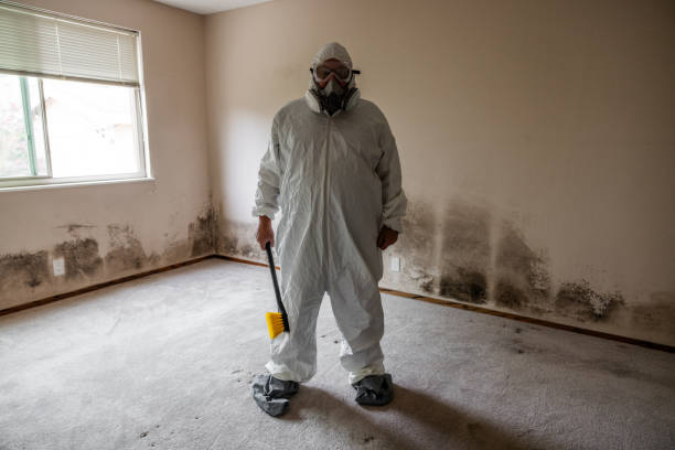 Best Emergency Mold Removal  in Rose Hill, KS